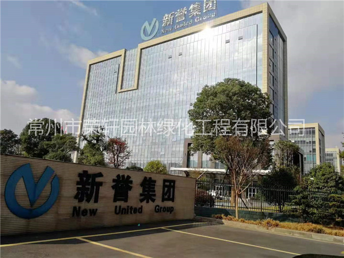 常州新譽集團養護